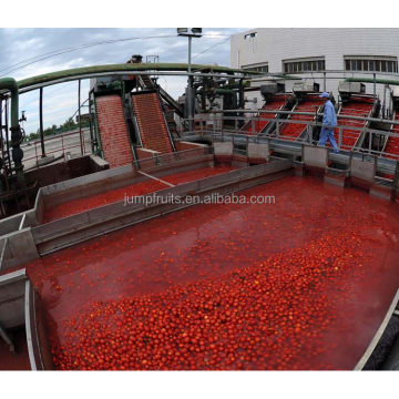 CE de la máquina de fabricación de pasta de tomate